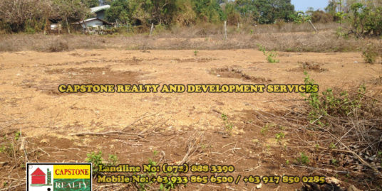 Titled 250 Sqm lot for sale, San Fernando City, La Union