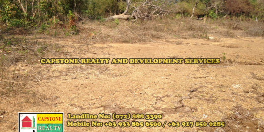 217 SQM Residential lot for Sale, San Fernando City, La Union