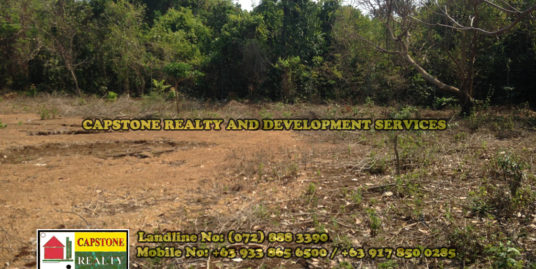 250 SQM Residential Lot for Sale, San Fernando City, La Union