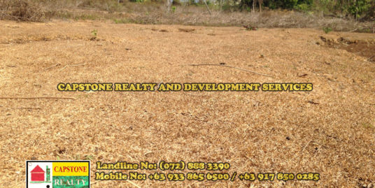 Residential Lot For Sale, San Fernando City, La Union