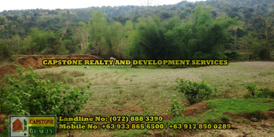 1 Hectare Farm lot for Sale, San Fernando City, La Union