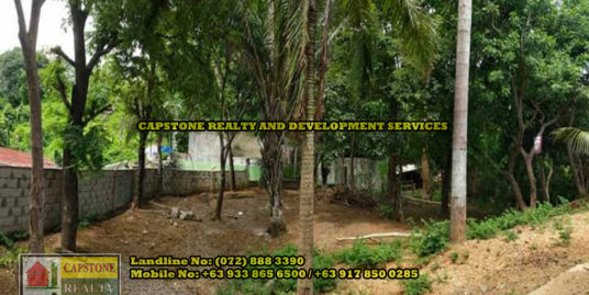 Titled Commercial / Residential lot for Sale, San Fernando City, La Union