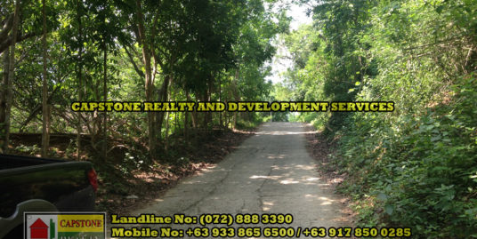 4,460 Sqm Lot for Sale with a Scenic View with approved plan ready for titling and offered in deferred Cash Payment