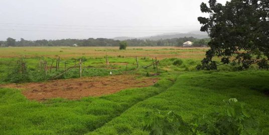 Titled Farm Lot For Sale, Bangar, La Union