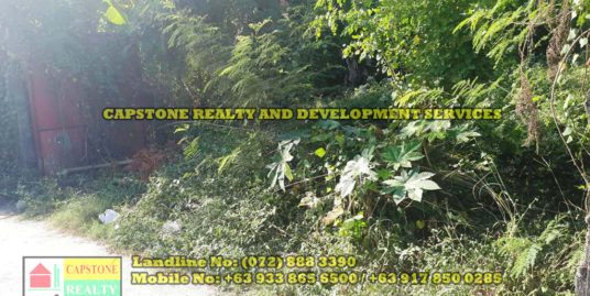 300 SQM TITLED Residential lot for sale, San Fernando City, La Union