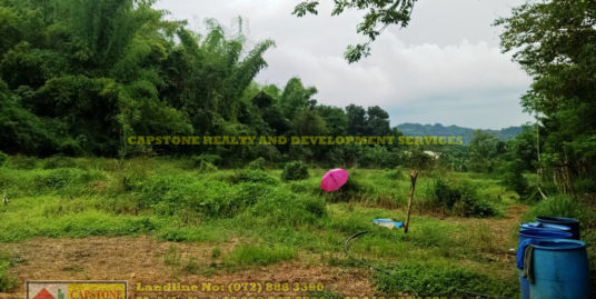 1 hectare lot for sale San Fernando City, La Union