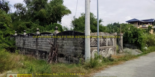 300 Sqm Titled residential lot for sale, San Juan, La Union