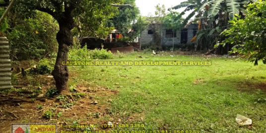 239 Sqm Residential Lot for sale Bacnotan, La Union