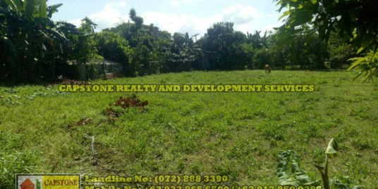 4,627 Sqm lot for sale Poblacion, Bacnotan, La Union