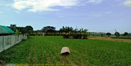 Titled Agricultural Lot for Sale, San Juan, La Union