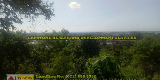 Overlooking lot for sale San Fernando City, La Union