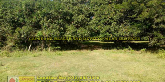 Titled Residential lot for sale Bacnotan, La Union