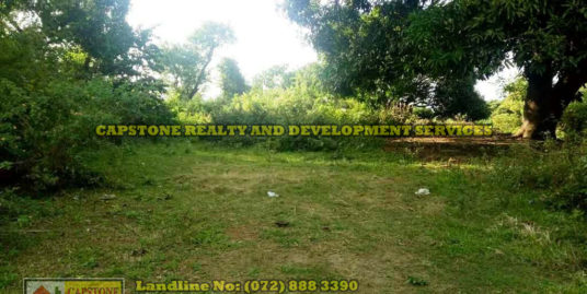 Titled Residential Lots for Sale, San Fernando City, La Union