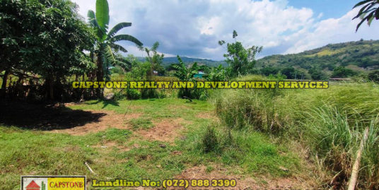 1 Hectare Titled Agricultural Lot for sale Balaoan, La Union