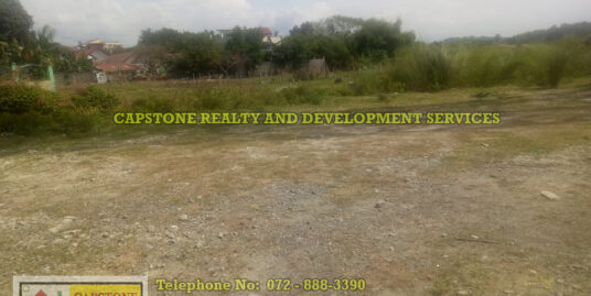 1,100 Lot for Sale San Fernando City, La Union