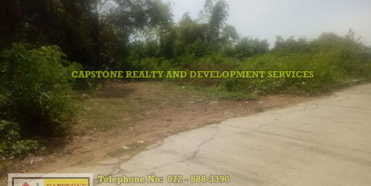 1,000 Sqm Residential Lot for Sale San Fernando City, La Union