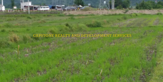 2,094 SQM Titled Agricultural / Residential Lot for sale, San Juan, La union