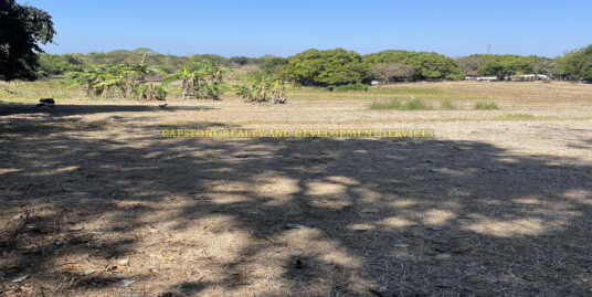 FARM LOT FOR SALE NEAR BYPASS ROAD SAN FERNANDO CITY LA UNION