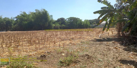 19,984 sqm Farm Lot for Sale in Malasique, Pangasinan