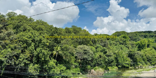 PRIME LOT FOR SALE IN RIBSUAN NAGUILIAN LA UNION