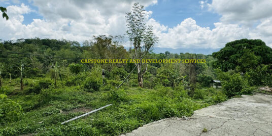 20,000 SQM FARM LOT FOR SALE IN SAN ISIDRO AMBARACAO NAGUILIAN