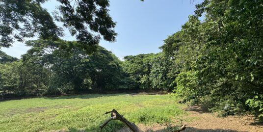 TITLED FARM LOT FOR SALE IN BAUANG LA UNION