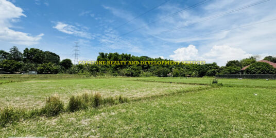 TITLED AGRICULTURAL LOT FOR SALE IN BAUANG LA UNION