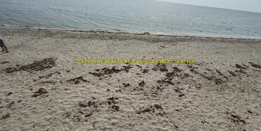 PRIME BEACHFRONT LOT FOR SALE IN CARLATAN SAN FERNANDO CITY LA UNION