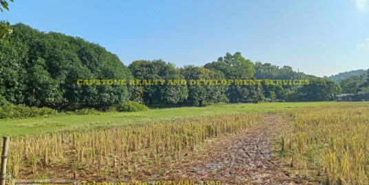 For Sale: Versatile Agricultural/Residential Lot in Pagdalagan Norte, San Fernando City, La Union