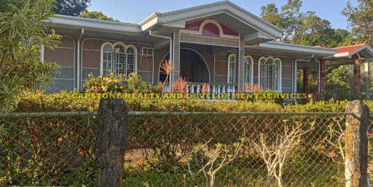 FOR SALE: Titled House and Lot in Naguilian, La Union